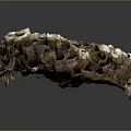Honeybee hive queen worker bee pupa bee Wang Feng honey 3d model