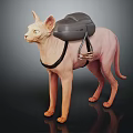 Sphynx Cat With Gray Backpack And Black Straps Standing On Dark Surface 3d model