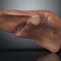 Human Liver Organ 3D Model With Textured Brown Surface And Hair Like Structures
