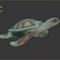 Red And White Textured Sea Turtle 3D Model On Dark Reflective Background