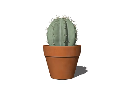 Small Green Spiky Cactus Potted Plant in Brown Terracotta Pot 3d model