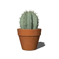 Small Green Spiky Cactus Potted Plant in Brown Terracotta Pot