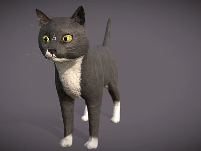 Gray And White Cat With Yellow Eyes In Standing Alert Stance 3d model