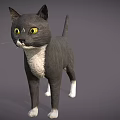 Gray And White Cat With Yellow Eyes In Standing Alert Stance