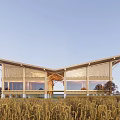 Wooden Homestay Building With Large Windows Sloped Roof In Golden Wheat Field Surrounded By Trees