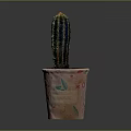 Potted Cactus Plant in Decorative Planter with Pink and Green Floral Patterns