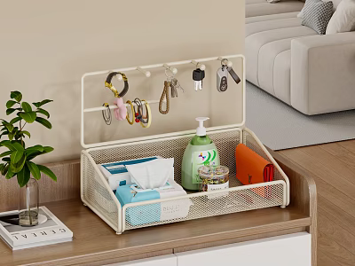 White Metal Storage Organizer With Hooks Keys Tissues And Hand Sanitizer On Living Room Cabinet 3d model