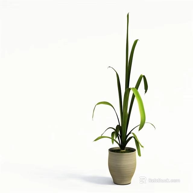 Bonsai Potted Plant With Green Long Leaves In Light Colored Pot For Indoor Decoration 3d model 