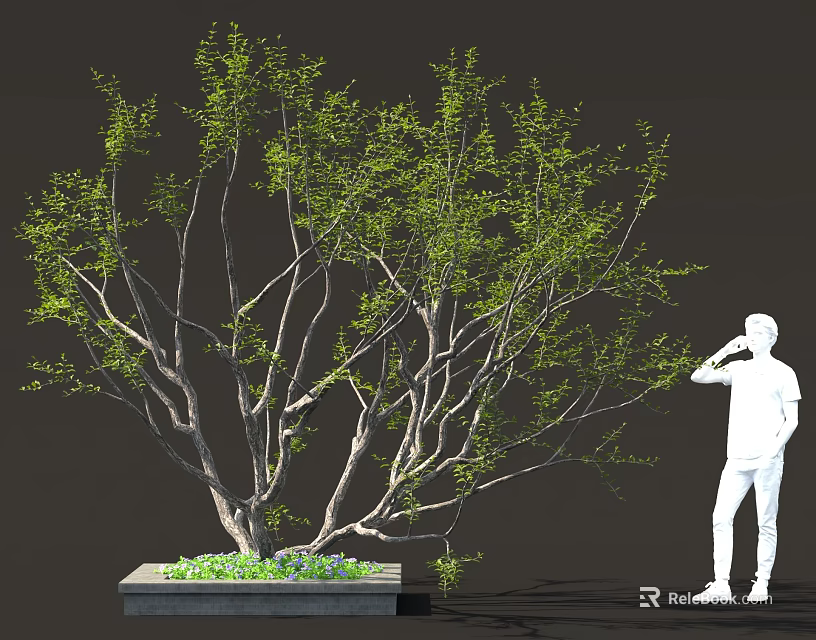 Lush Green Tree With Multiple Branches Square Base And Human Figure 3d model