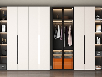 Wardrobe Combination Wooden Wardrobe White Wardrobe Storage Cabinet Wood Glass Door Wardrobe 3d model