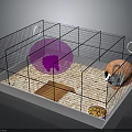 Hamster Cage Setup With Pink Exercise Ball Orange Hideout And Wood Shavings