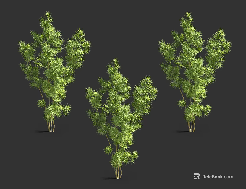 Three Vibrant Green Arbor with Lush Foliage Standing Against Dark Background 3d model 
