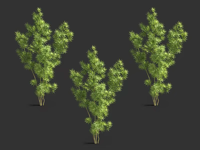 Three Vibrant Green Arbor with Lush Foliage Standing Against Dark Background 3d model