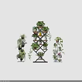 Indoor Bonsai Potted Plants On Multi Tiered Shelves With Various Green Plants For Home Decor