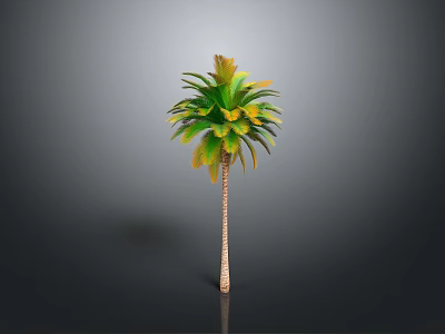 Tall Palm Tree With Green Yellow Leaves And Brown Trunk On Grey Background 3d model