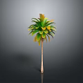 Tall Palm Tree With Green Yellow Leaves And Brown Trunk On Grey Background
