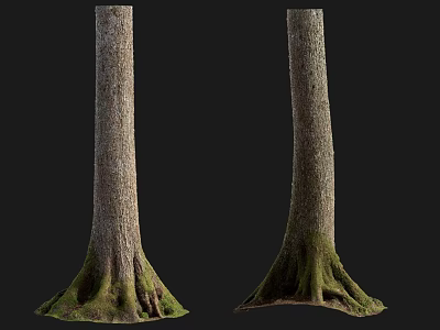 Natural Wood Trunks With Stone Elements And Green Moss On Roots 3d model