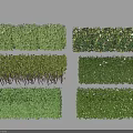 Different Varieties Of Trimmed Garden Shrubs With Green Foliage And Various Shapes For Landscaping