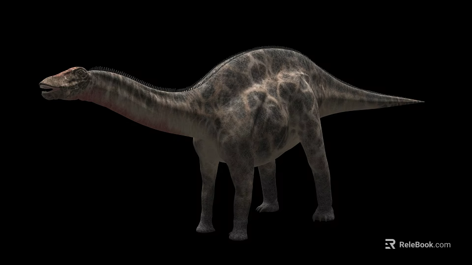 Large Prehistoric Reptile With Long Neck Textured Skin And Massive Body On Black Background 3d model 