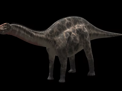 Large Prehistoric Reptile With Long Neck Textured Skin And Massive Body On Black Background 3d model