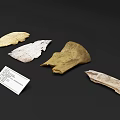 Antique Carved Bone Fragment Decorative Ornament Set Featuring Intricate Textured Surfaces