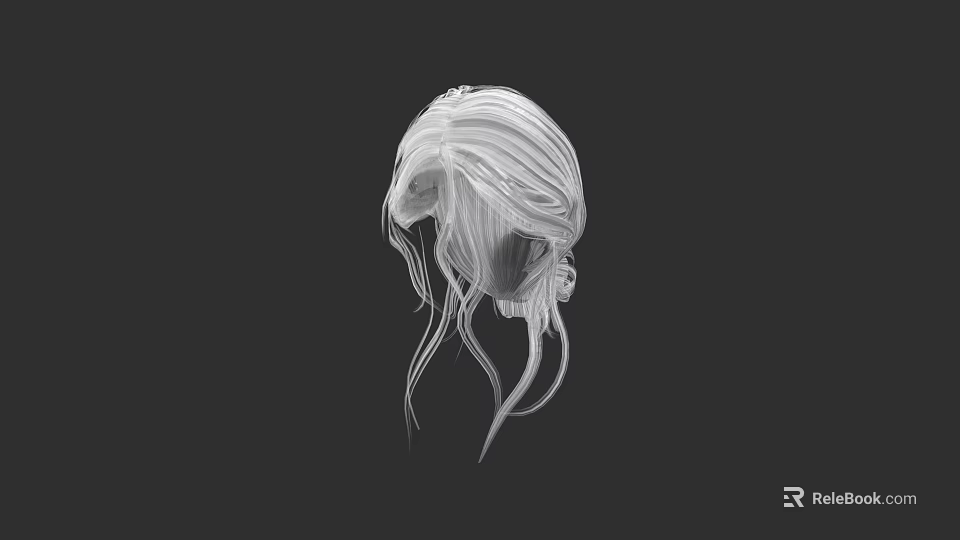 Model With Stylish White Flowing Long Hair On Black Minimalist Background 3d model 