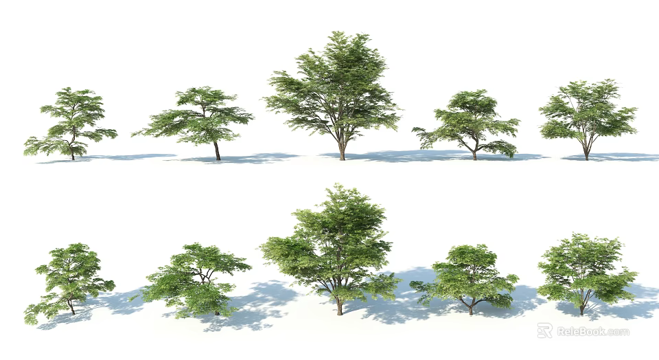 Various Green Leafy Arbor Trees With Natural Shapes On White Background 3d model