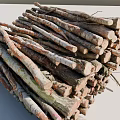 Freshly Cut Arbor Tree Branches Neatly Stacked in a Large Pile