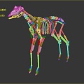 Modern Skeleton Metal Dinosaur Skeleton Alloy Skeleton Animal Skeleton Animal Skeleton 3d model