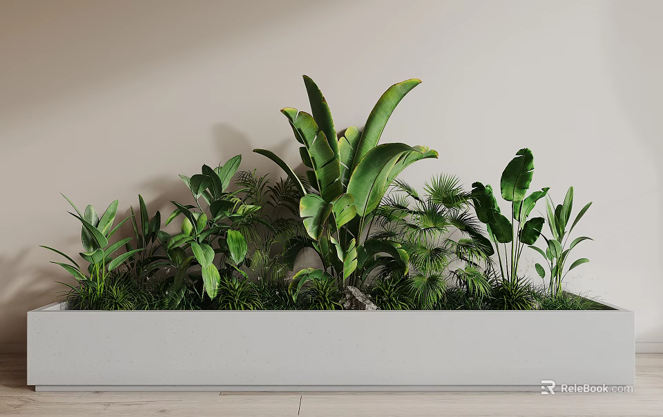 Various Lush Green Potted Plants In Long White Planter For Home Decoration 3d model 