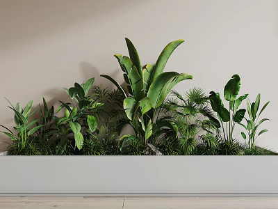 Various Lush Green Potted Plants In Long White Planter For Home Decoration 3d model