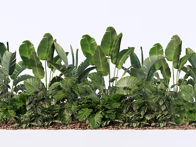 Lush Green Plant Combination With Various Large Leaves And Layered Foliage 3d model