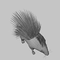 Realistic Porcupine With Long Black And White Quills And Brown Body