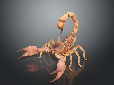 Detailed 3D Rendered Scorpion Model With Brown Exoskeleton And Dark Background Reflection 3d model