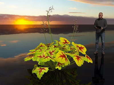 Yellow Red Variegated Leaves with Slender Stems and Small Flower Spikes by Sunset Water Reflections 3d model