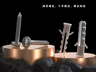 Flat Door Installation Kit With Hexagon Cross Screws And Plastic Screw Anchors 3d model