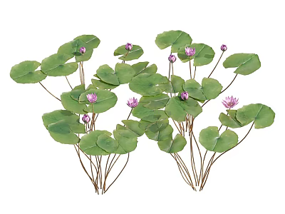 Aquatic Plants With Green Lotus Leaves And Pink Flowers On Stems 3d model