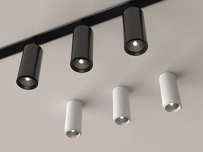 Modern Downlights and Spotlights in Black and White Design Installed on Ceiling with Illuminated Lamps 3d model