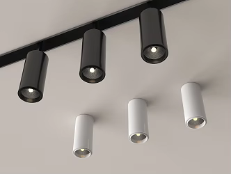 Modern Downlight Spotlight Track Spotlight 3d model