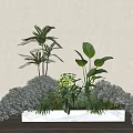 Lush Green Flowers and Plants in White Planter Against Light Wall Indoor Scene