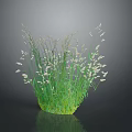 Lush Green Grass with Tiny White Flowers Against Dark Background Showing Reflection