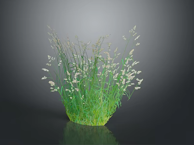 Lush Green Grass with Tiny White Flowers Against Dark Background Showing Reflection 3d model