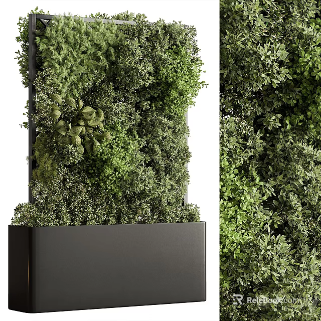 Green Living Wall With Diverse Plants For Decor 3d model 