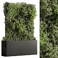 Modern Green Plant Wall Green Plant Pond Vine Plant Wall 3d model