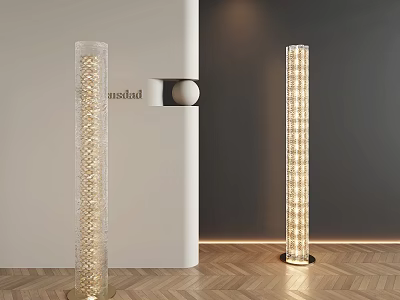 Modern Minimalist Floor Lamp With Transparent Cylindrical Body Gold Base And Warm Light 3d model