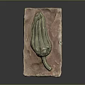 Green Organic Form Sculpture Carved From Stone With Brown Slate Base