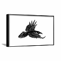 Framed Animal Painting of Flying Raven in Black and White Art Style on Brown Wall