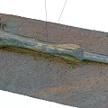 Natural Fallen Arbor Trunk Lying on Soil with Small Green Plants