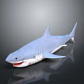 Realistic Gray Great White Shark Model Featuring Sharp Teeth On Black Reflective Background