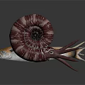 Vibrant Marine Aquatic Animals Featuring Swordfish Mackerel And Spiral Nautilus
